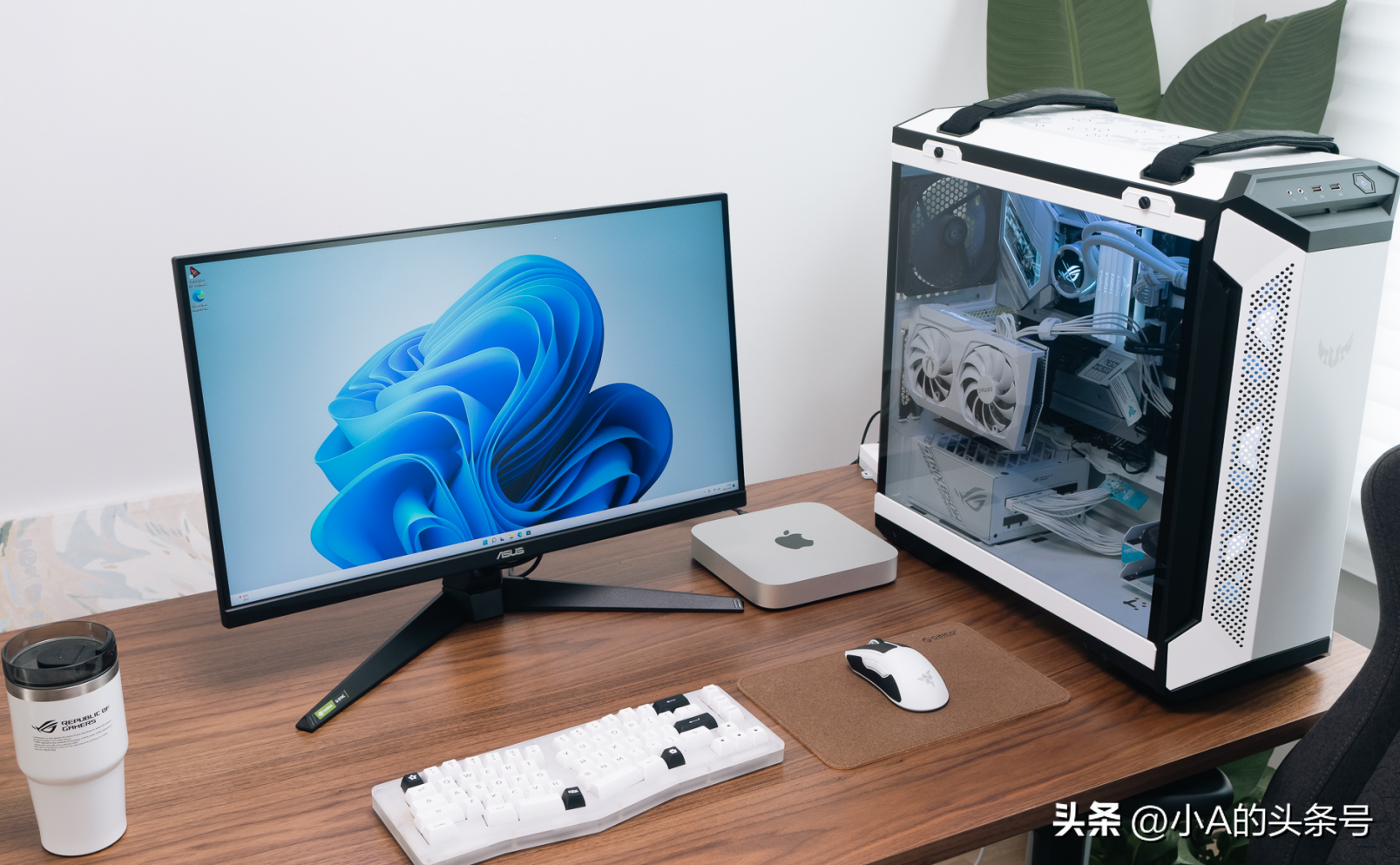 word永久激活密钥怎么获得（Office永久免费激活方法） 第37张