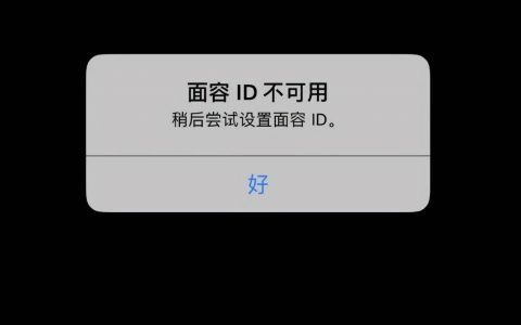 苹果手机面容识别不了是什么原因（苹果手机序列号查询方法）