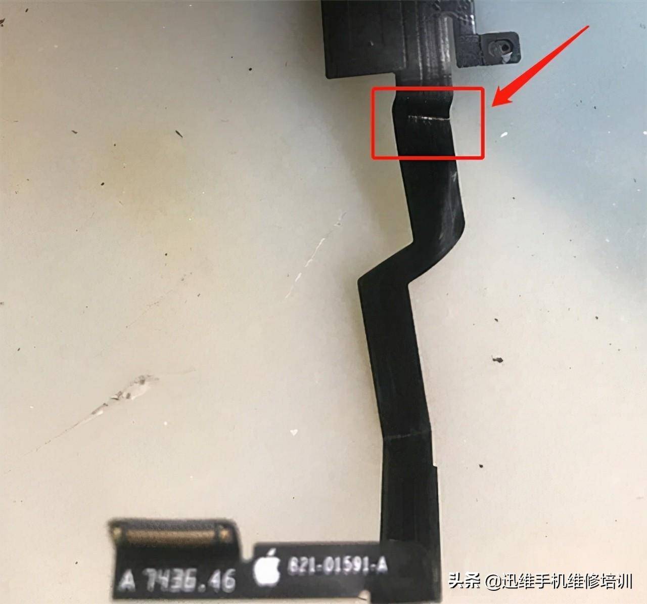 88779106dda349d9b36a0b4240fc2201noop.image_ 第9张