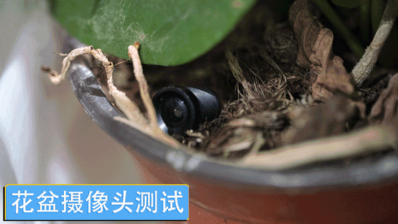 f0882a4be533456481a710be9ac27790noop.image_ 第15张