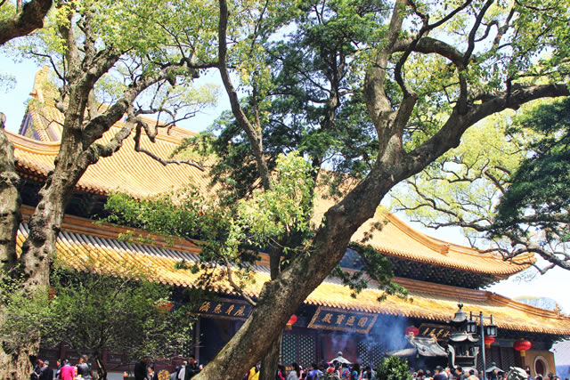 浙江十大著名寺庙 浙江香火最旺的十大寺院 浙江寺庙名录 第13张