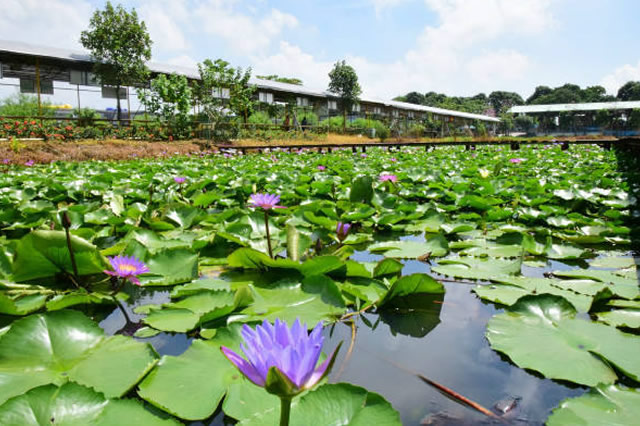 中山夏季旅游景点排行榜前十名 中山十大夏季避暑旅游景点 中山夏天适合避暑玩水的地方 第1张