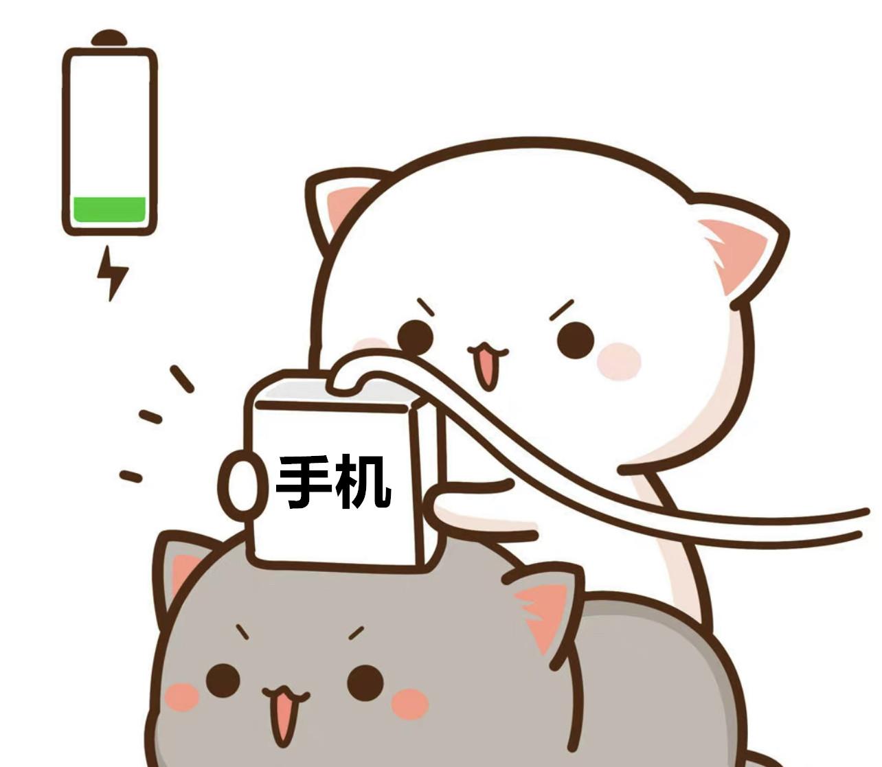 苹果电池怎么保养最好（iPhone电池保养小技巧） 第3张