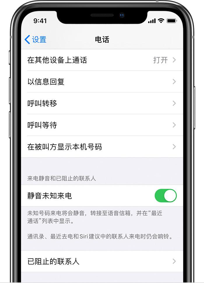苹果来电没有声音怎么回事（修复苹果手机来电没有声音的方法） 第3张