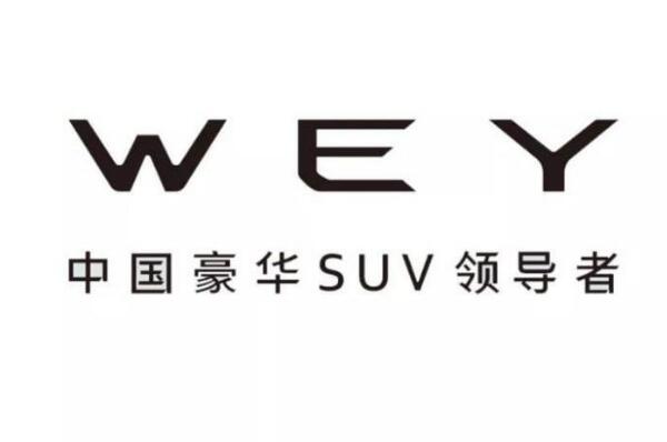 022电动汽车十大品牌