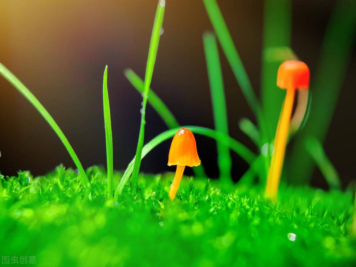 50f69e2ae07a48ad89092bb0f0191f2anoop.image_ 第5张