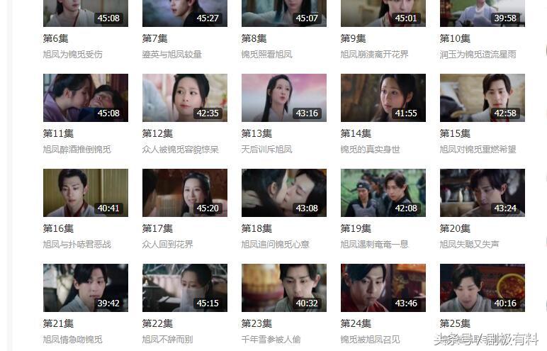 dvd版和tv版有什么区别（爱奇艺dvd版和普通版哪个好） 第5张