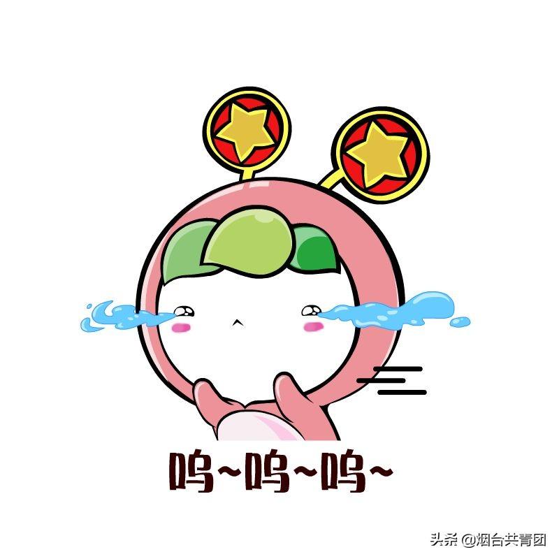 智慧团建密码忘记了怎么办?（团支书没有重置密码验证码） 第15张