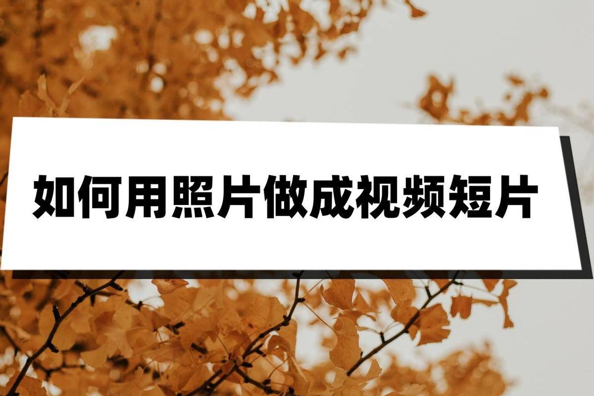 244171288ed044529308062823881736noop.image_ 第1张