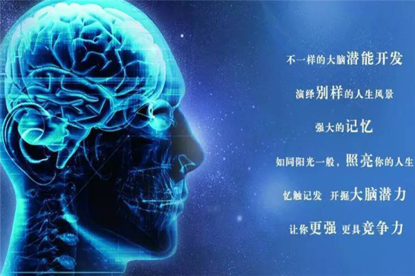 脑力开发培训十大品牌 全脑开发加盟10大品牌排行榜 第11张