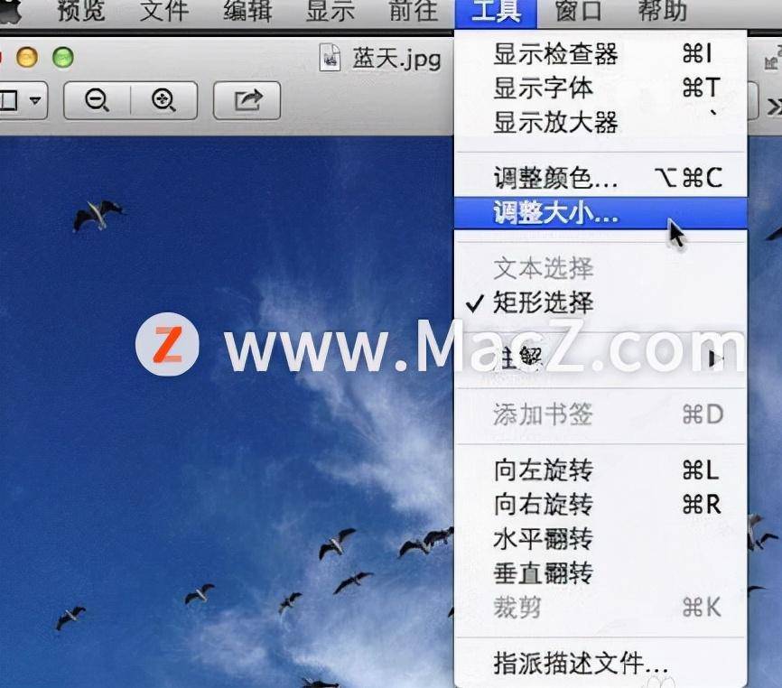e854a634c0db4be2b4477a5fefa80444noop.image_ 第3张