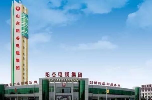 电缆电线品牌排行榜前十名 中国十大电缆厂家排名 第19张