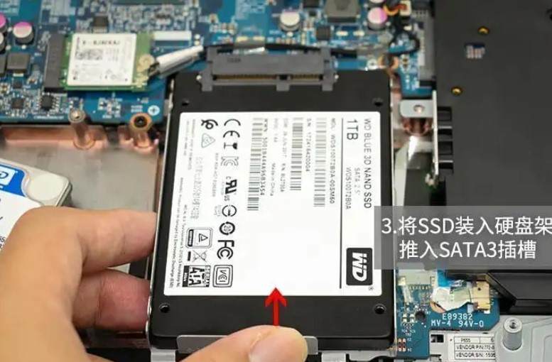 c45301a61d4648599c1dd016c371344fnoop.image_ 第39张