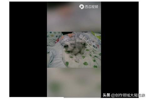 拷到u盘里的视频是mp4格式可以播放吗（U盘部分视频不能播放处理方法） 第11张