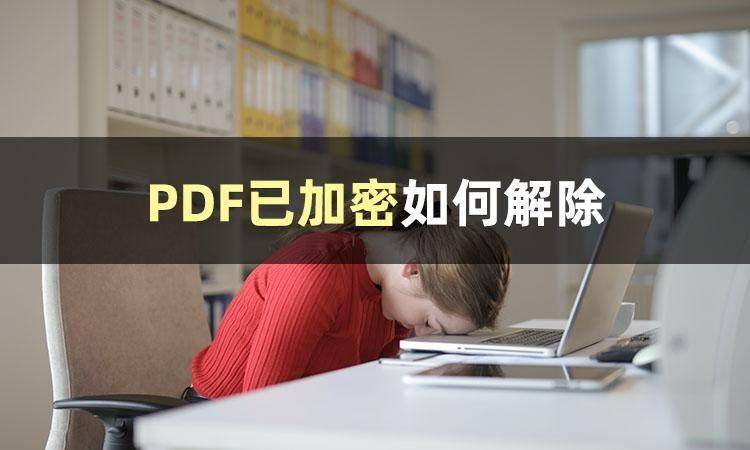 03cc8692282a45eaacaff4dbd0eb5093noop.image_-1 第1张
