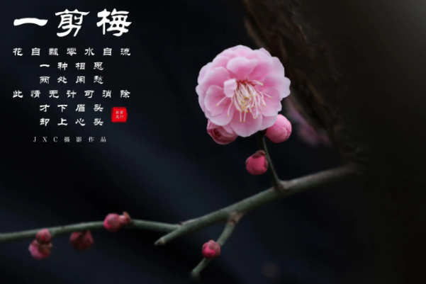 十大经典宋词赏析,经典宋词及赏析10首 第3张