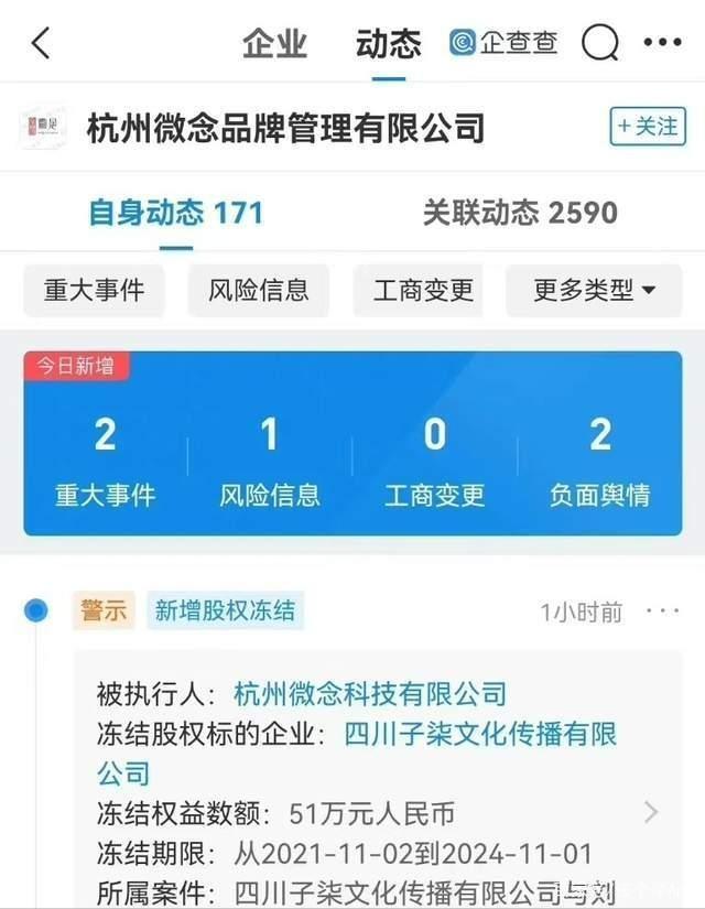 李子柒事件是怎么回事（火到国外的李子柒怎么消失了） 第21张