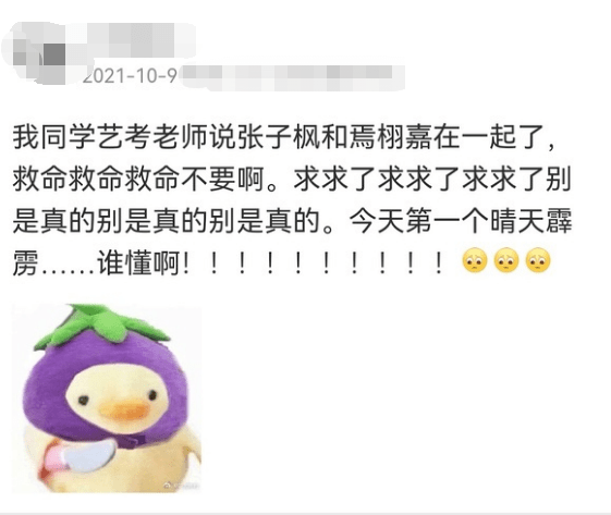 曝张子枫与焉栩嘉恋爱！疑穿情侣装过夜，男方曾被曝脚踏多条船 第23张