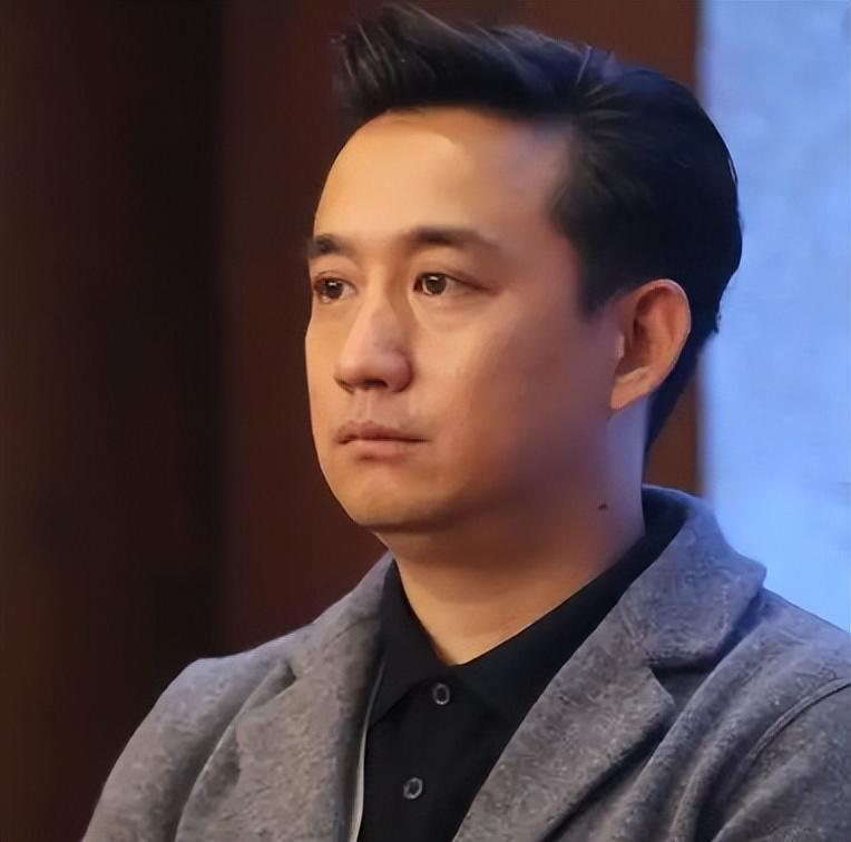黄磊简历个人简介（“隐藏大佬”黄磊：坐拥100亿资产） 第41张