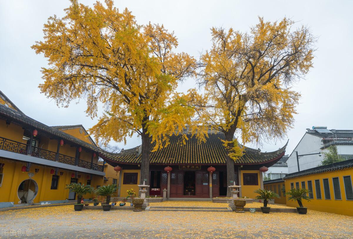 苏州旅游必去十大景点（好看又好玩苏州10大免费景点介绍） 第77张