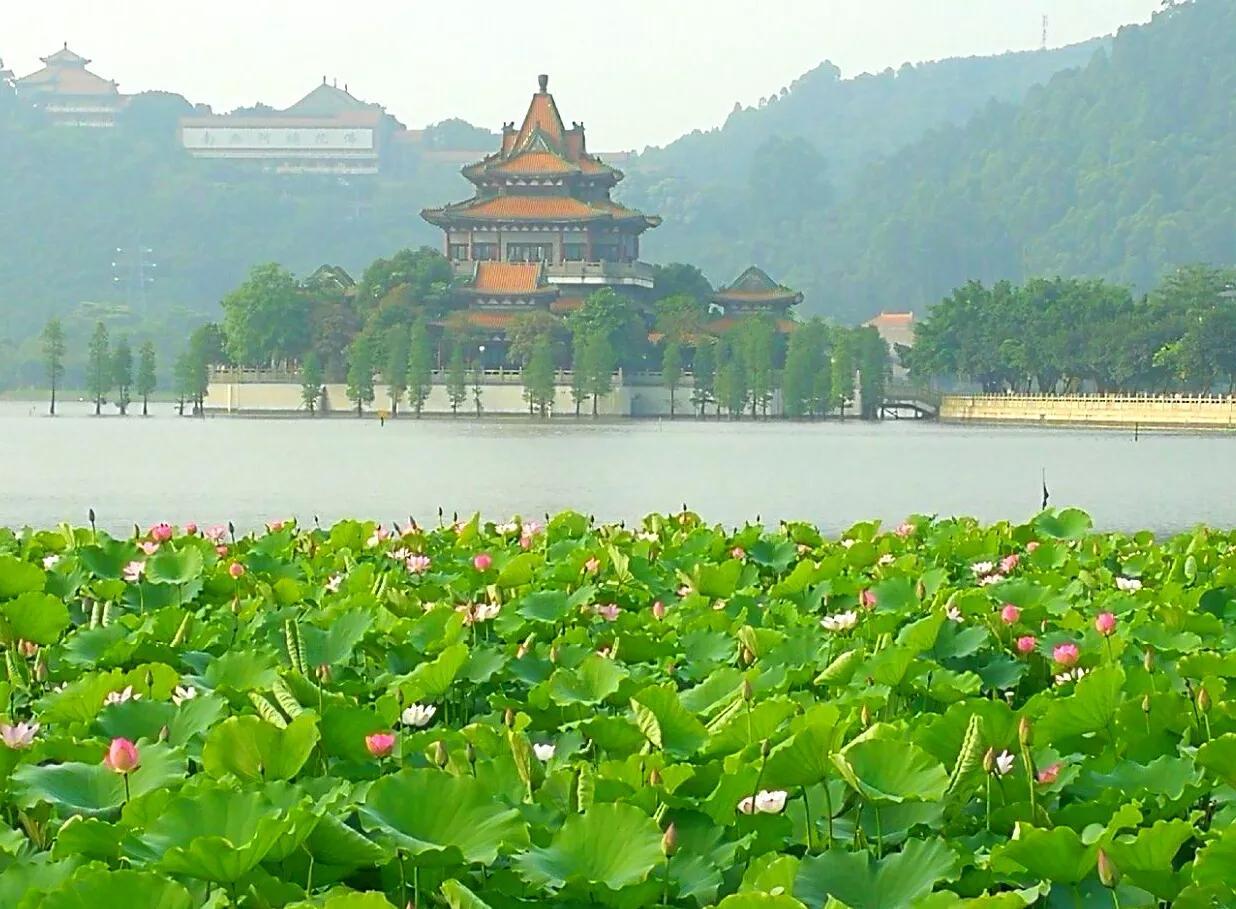 佛山旅游必去十大景点（详解佛山10个免费又好玩景点） 第37张
