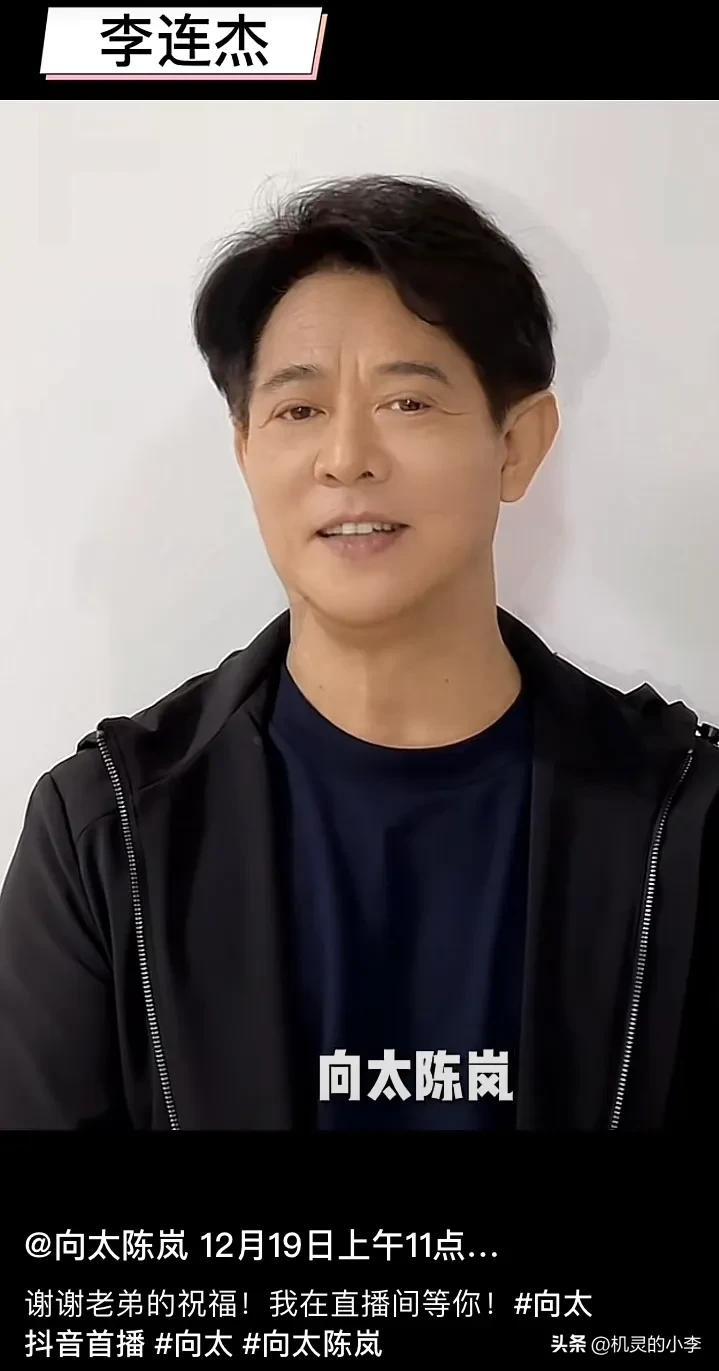 向太陈岚的个人资料（盘点向太陈岚的传奇人生） 第11张