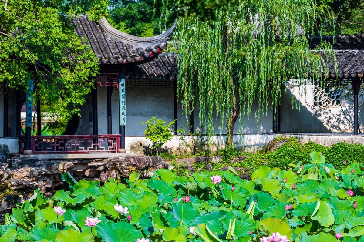 苏州旅游必去十大景点（好看又好玩苏州10大免费景点介绍） 第19张