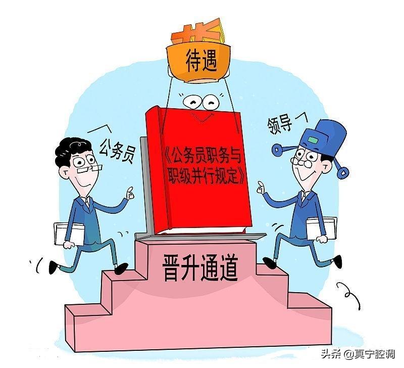 四级调研员是什么级别（调研员级别与待遇介绍） 第1张