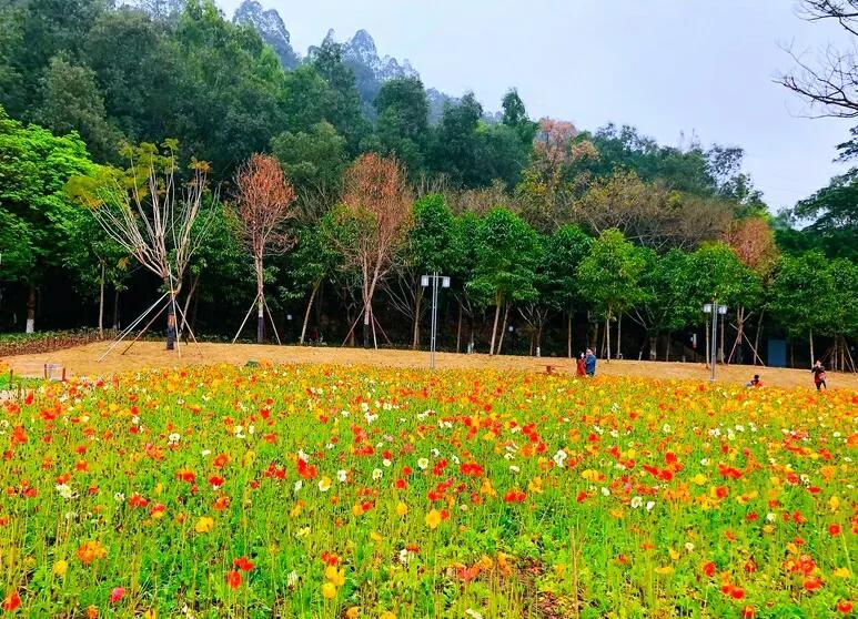 佛山旅游必去十大景点（详解佛山10个免费又好玩景点） 第35张