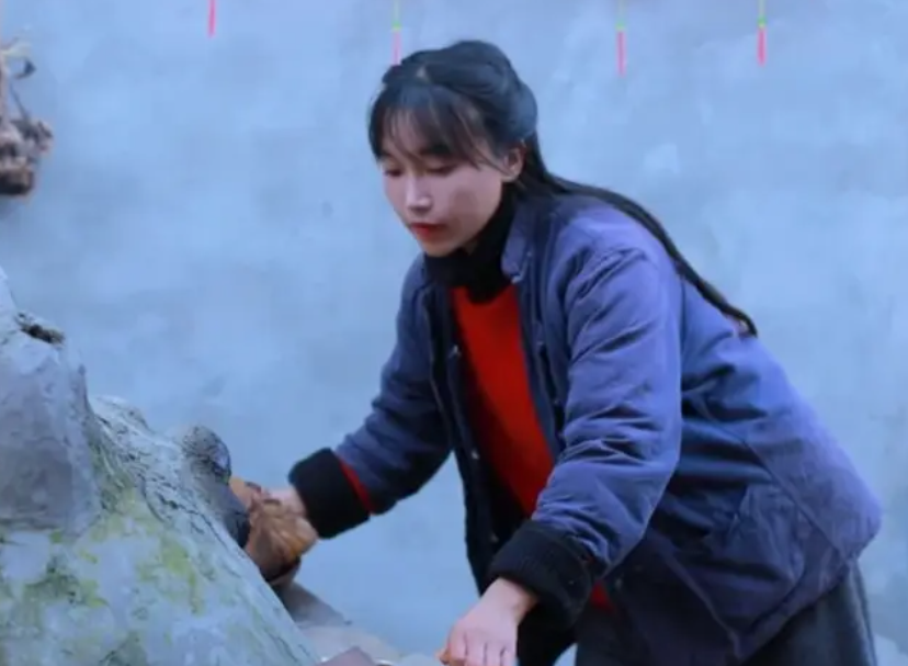 李子柒事件是怎么回事（火到国外的李子柒怎么消失了） 第39张