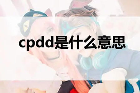 网络用语cpdd是什么意思？是找伴侣的意思吗？ 第1张