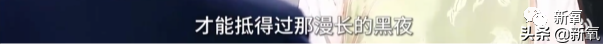 李子柒事件是怎么回事？揭秘李子柒背后的复杂故事 第61张