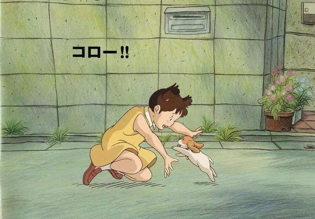 宫崎骏的所有作品电影（宫崎骏的28部作品，你看过几部?） 第25张