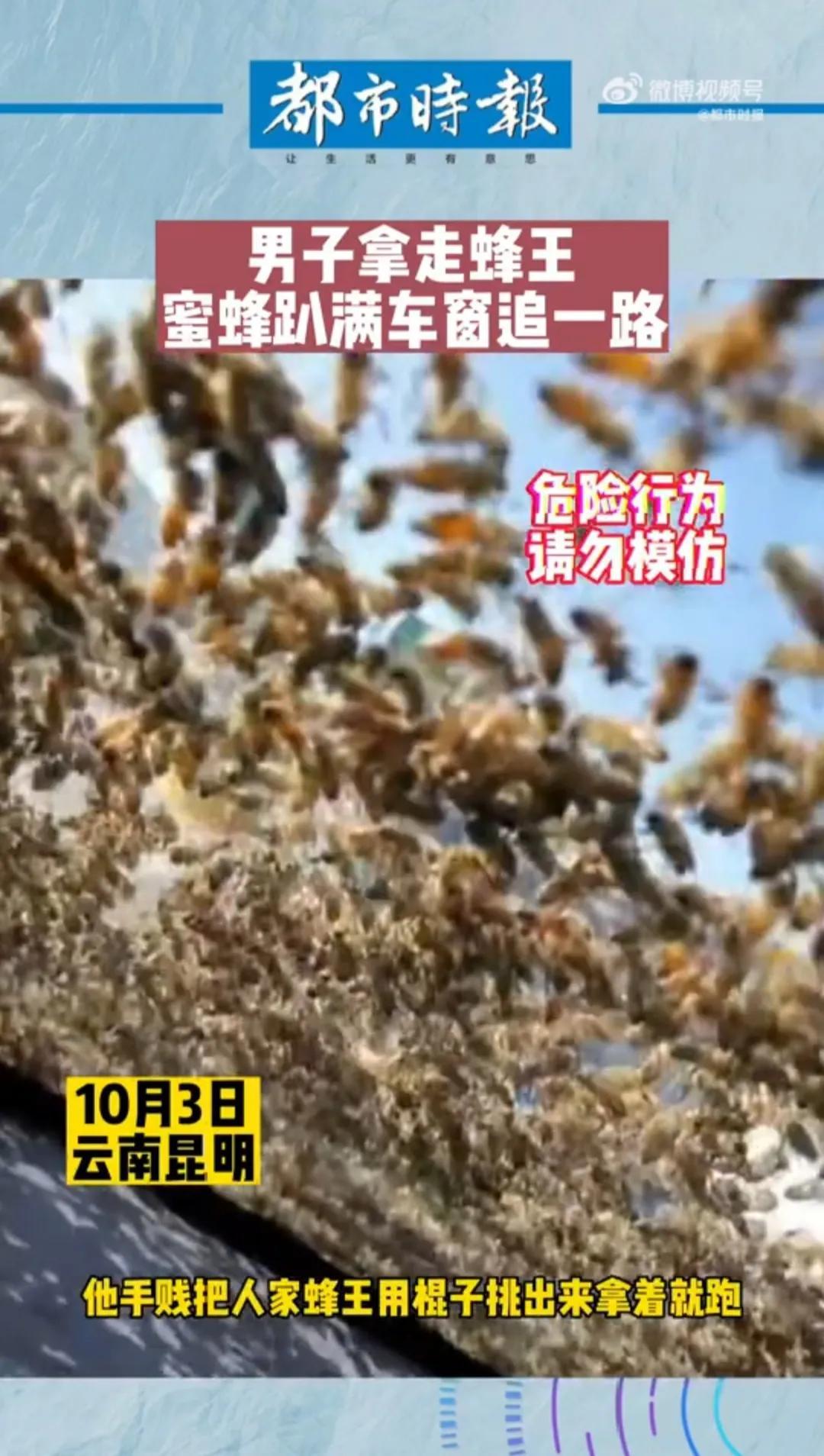 「男子拿走蜂王被蜂群追一路」网友：看着都让人觉得害怕 第1张