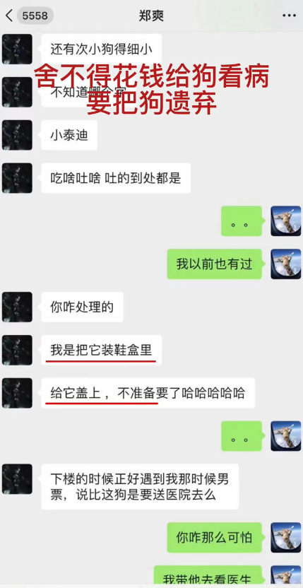 郑爽事件怎么回事？到底是什么造就了今天的郑爽？ 第13张