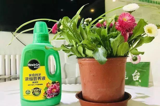 积肥是什么季节做的事（春秋是施肥的最佳季节） 第1张
