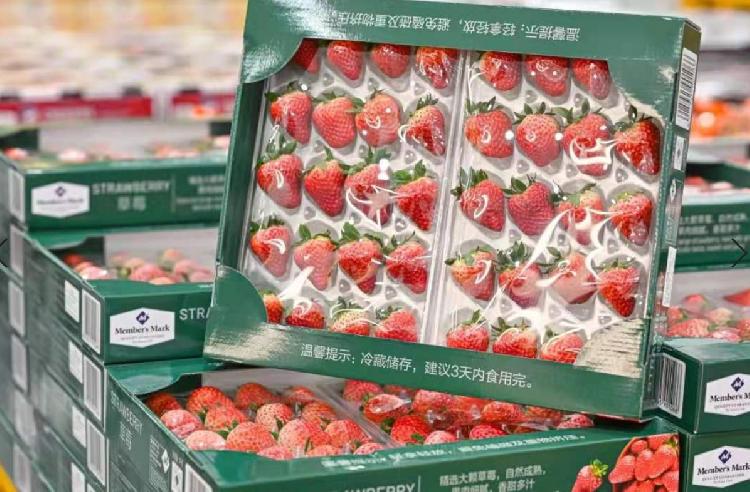山姆会员店最强攻略，告诉你花260元办卡到底值不值？ 第3张