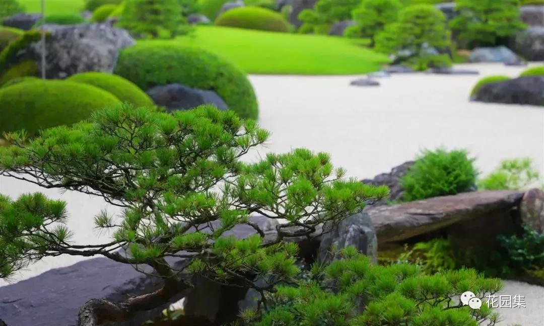 最小的日式庭院 | 坪庭，方寸间也能感受侘寂之美 第15张