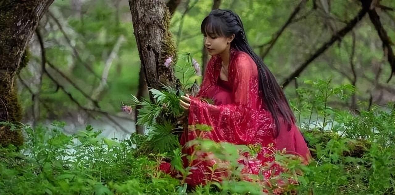 李子柒事件是怎么回事（火到国外的李子柒怎么消失了） 第17张
