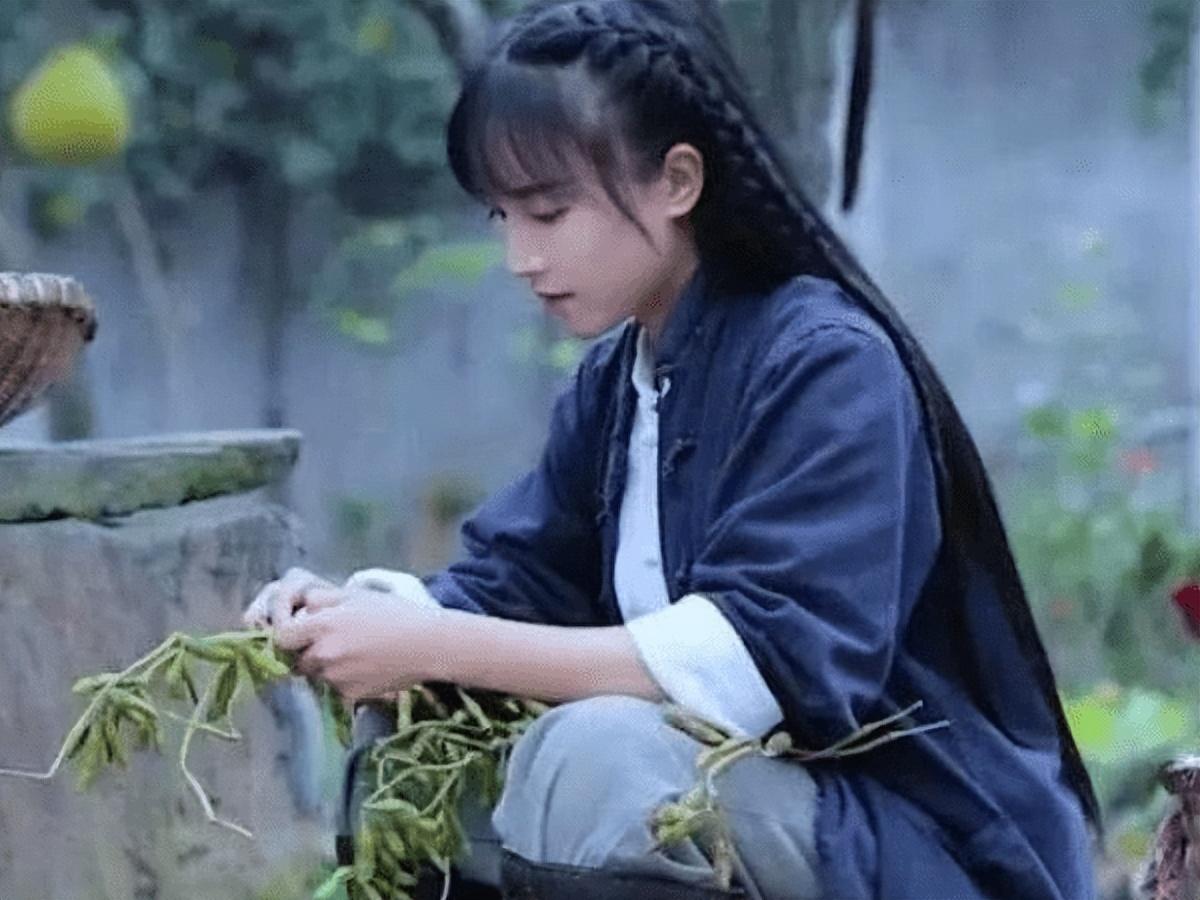 李子柒事件是怎么回事（火到国外的李子柒怎么消失了） 第27张