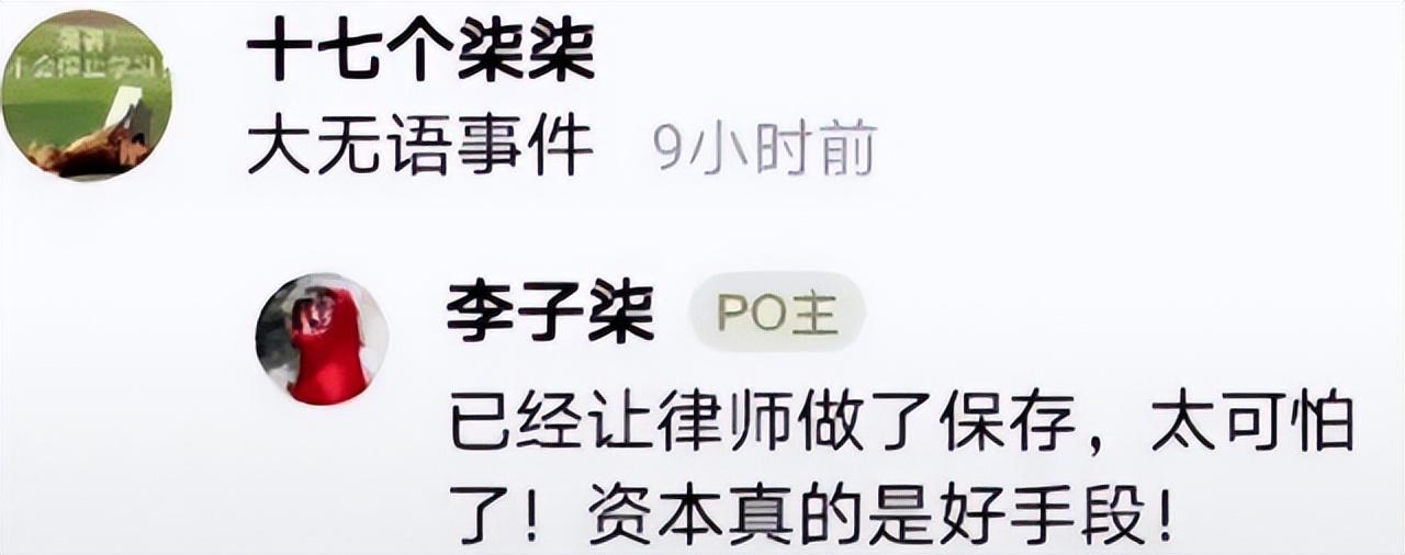 李子柒事件是怎么回事（火到国外的李子柒怎么消失了） 第3张