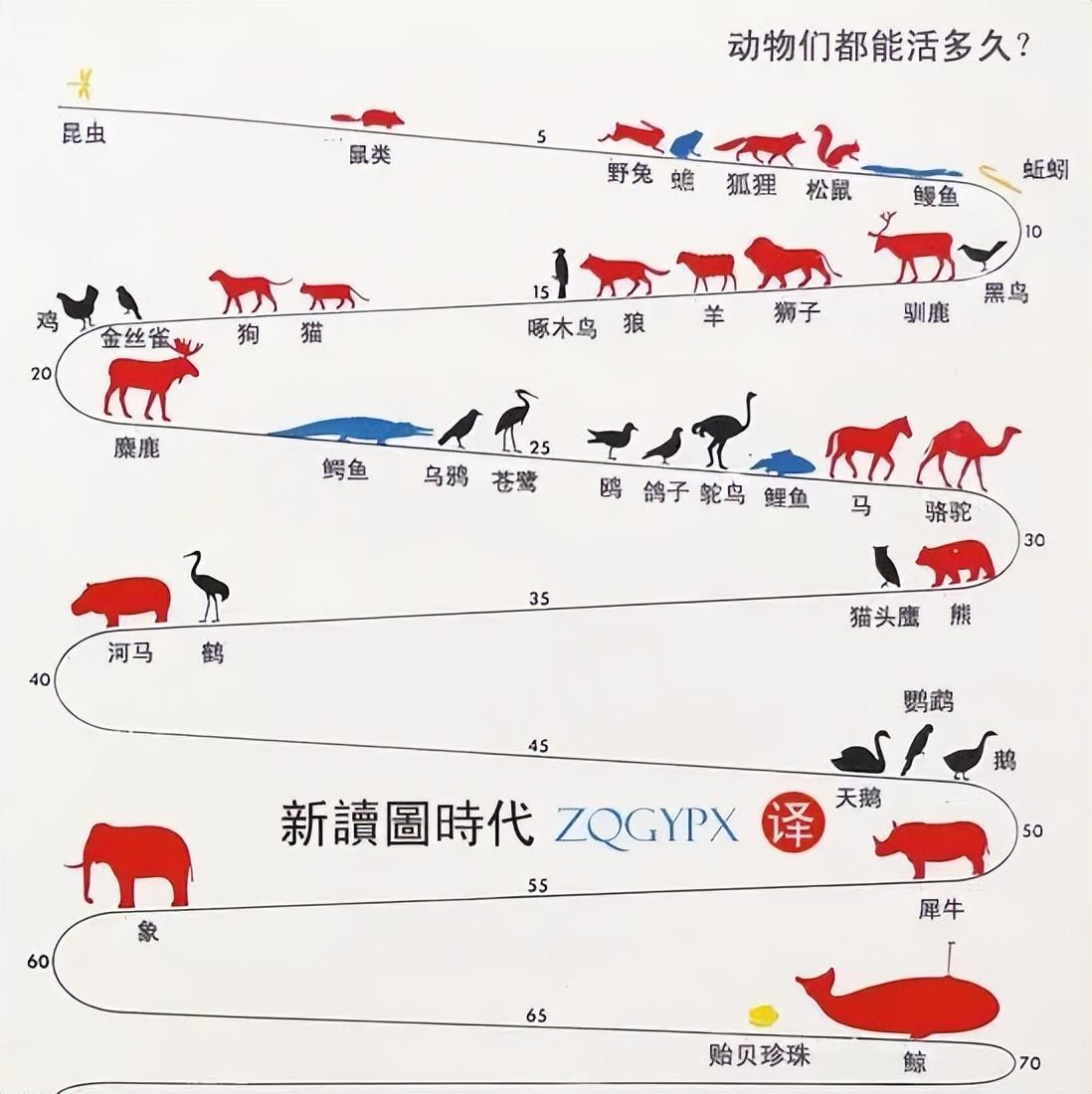 世界上最长寿的人多少岁（揭秘全球最长寿的老人） 第1张