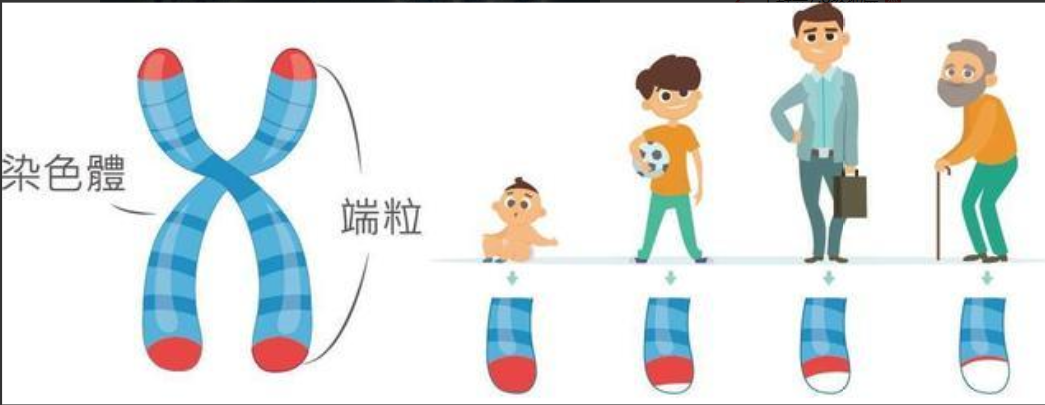 世界上最长寿的人多少岁（揭秘全球最长寿的老人） 第17张