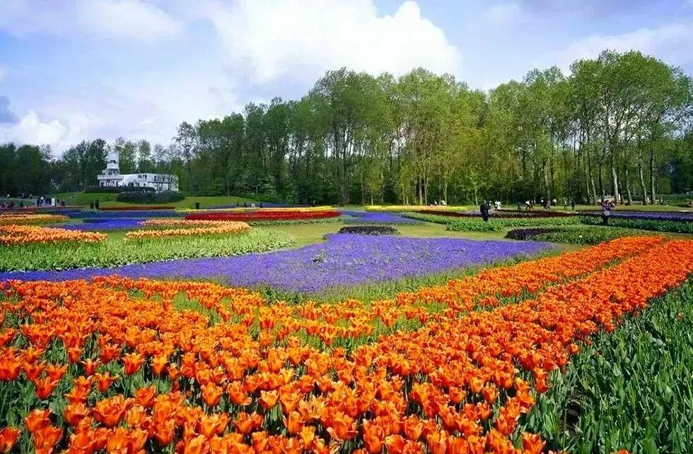 佛山旅游必去十大景点（详解佛山10个免费又好玩景点） 第25张