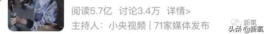 李子柒事件是怎么回事？揭秘李子柒背后的复杂故事 第1张