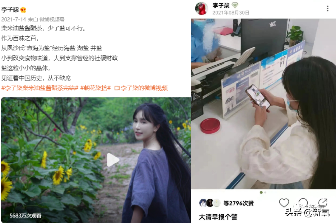 李子柒事件是怎么回事？揭秘李子柒背后的复杂故事 第3张