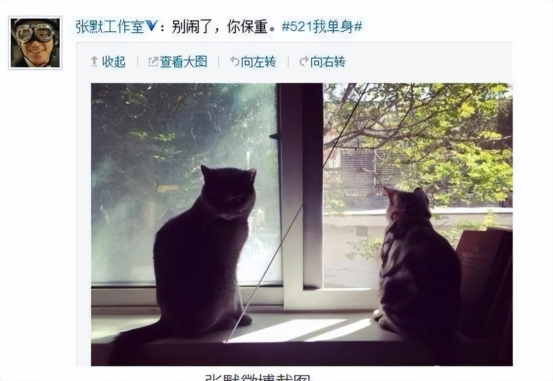 牛萌萌事件是怎么回事？牛萌萌“糊”了是谁的错 第37张
