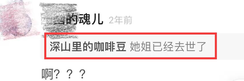 关晓彤姐姐什么时候过世的（传闻关晓彤的姐姐4年前去世） 第11张
