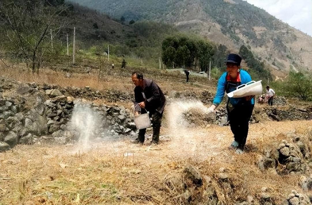 蛇怕什么东西（揭秘毒蛇最怕的五种克星） 第9张
