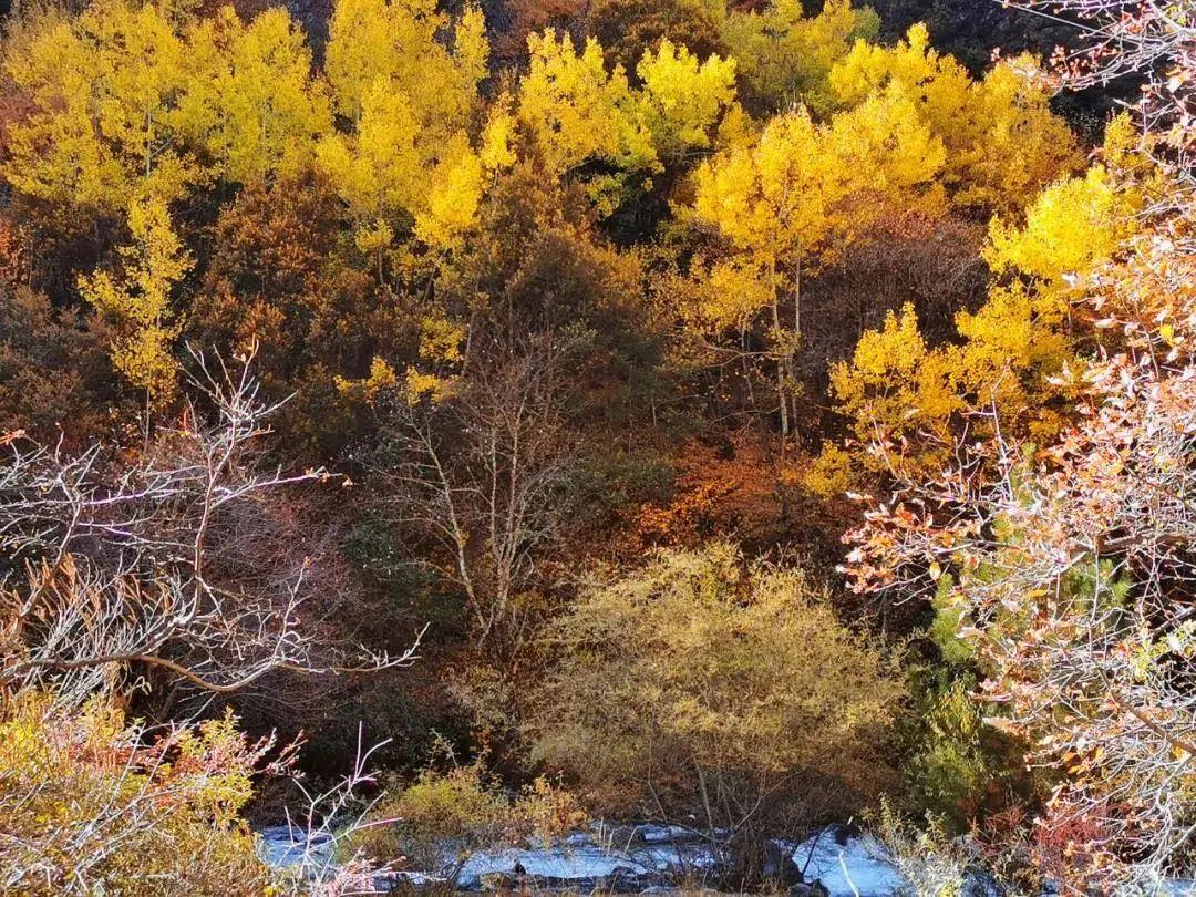 稻城亚丁几月份去最好（路线及游玩最佳季节详解） 第31张
